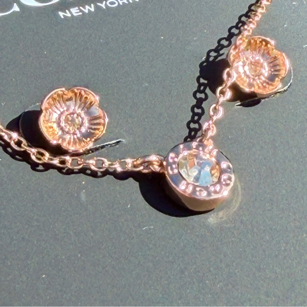 COACH Round Circle Necklace and Tea Rose Stud Earrings Set - Picture 13 of 14